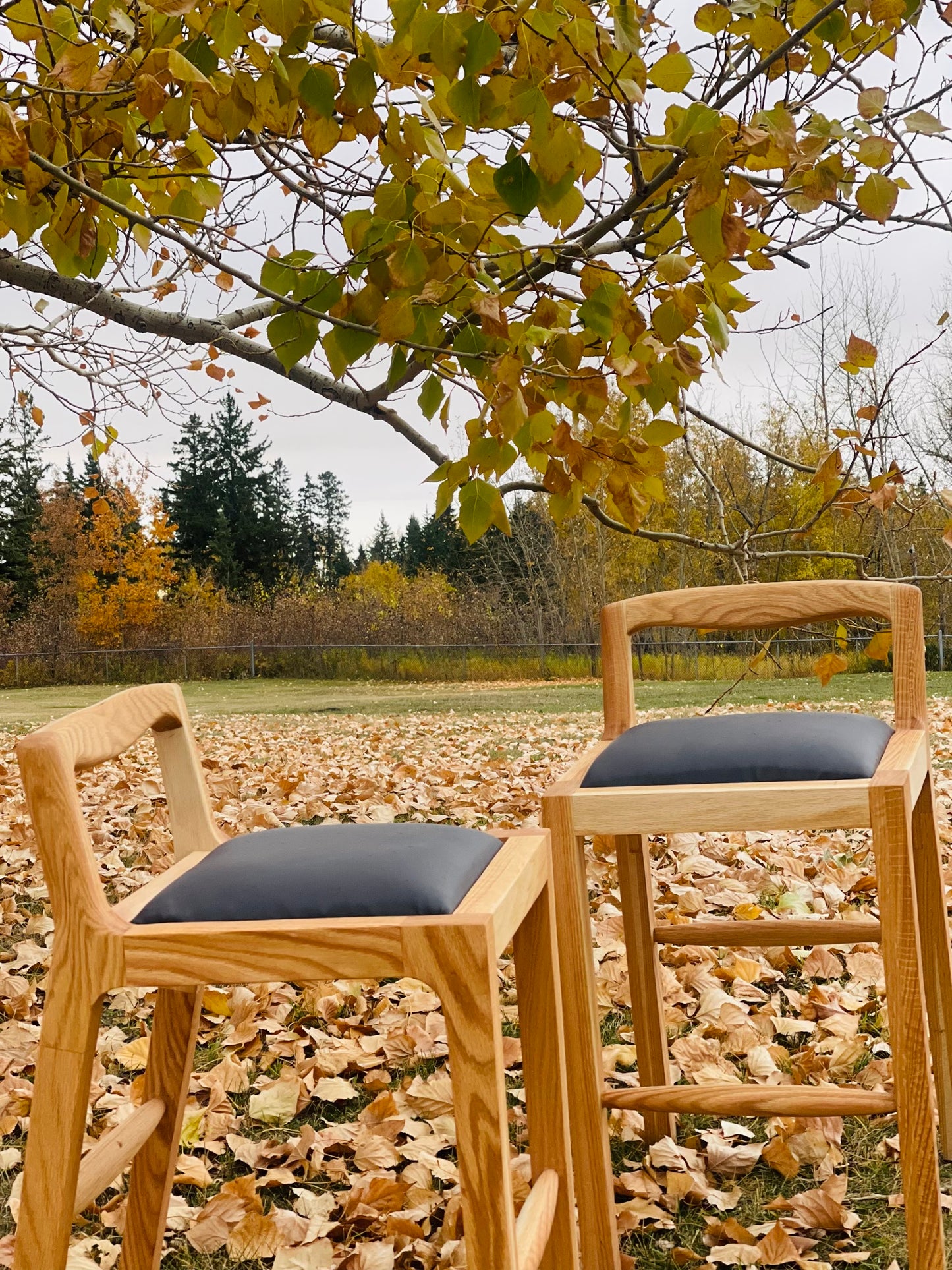 Stems counter stool